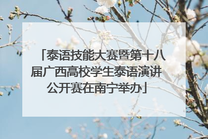 泰语技能大赛暨第十八届广西高校学生泰语演讲公开赛在南宁举办