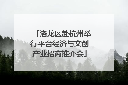 洛龙区赴杭州举行平台经济与文创产业招商推介会