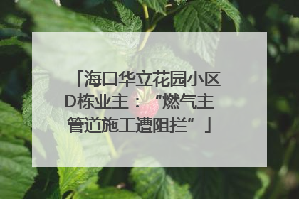 海口华立花园小区D栋业主：“燃气主管道施工遭阻拦”