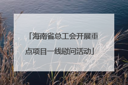 海南省总工会开展重点项目一线慰问活动