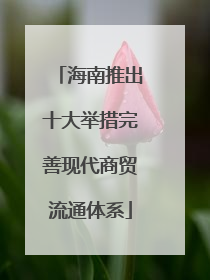 海南推出十大举措完善现代商贸流通体系