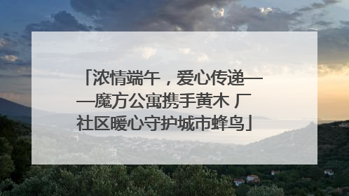 浓情端午，爱心传递——魔方公寓携手黄木 厂社区暖心守护城市蜂鸟