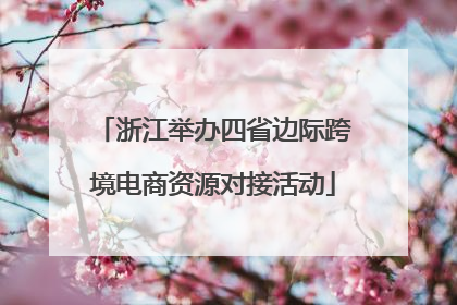 浙江举办四省边际跨境电商资源对接活动