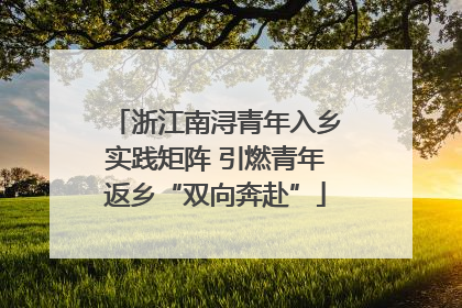 浙江南浔青年入乡实践矩阵 引燃青年返乡“双向奔赴”