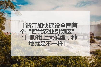浙江加快建设全国首个“智慧农业引领区”：田野用上大模型，种地就是不一样