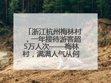 浙江杭州梅林村，一年接待游客超5万人次——梅林村，满满人气从何来（经济新方位·农村消费观察）