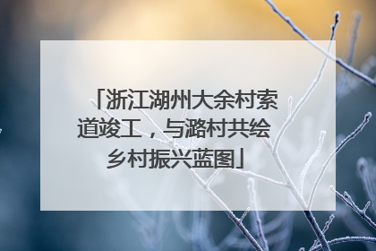 浙江湖州大余村索道竣工，与潞村共绘乡村振兴蓝图
