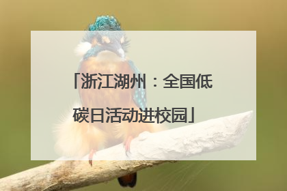 浙江湖州：全国低碳日活动进校园