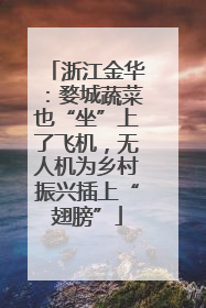 浙江金华：婺城蔬菜也“坐”上了飞机，无人机为乡村振兴插上“翅膀”