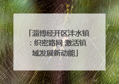 淄博经开区沣水镇：织密路网 激活镇域发展新动能