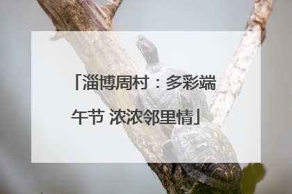 淄博周村：多彩端午节 浓浓邻里情