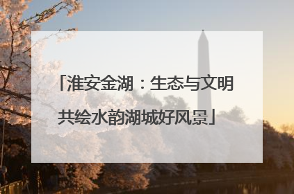 淮安金湖：生态与文明共绘水韵湖城好风景