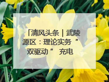 清风头条｜武陵源区：理论实务“双驱动 ” 充电赋能“增才干”
