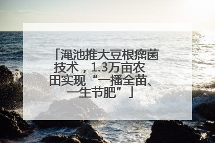 渑池推大豆根瘤菌技术，1.3万亩农田实现“一播全苗、一生节肥”