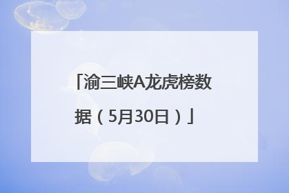 渝三峡A龙虎榜数据（5月30日）