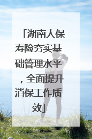 湖南人保寿险夯实基础管理水平，全面提升消保工作质效