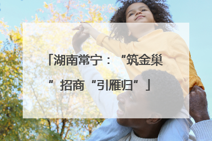 湖南常宁：“筑金巢”招商“引雁归”