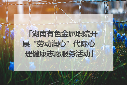 湖南有色金属职院开展“劳动润心”代际心理健康志愿服务活动
