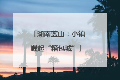 湖南蓝山：小镇崛起“箱包城”