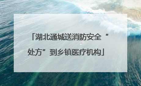 湖北通城送消防安全“处方”到乡镇医疗机构