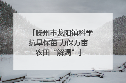 滕州市龙阳镇科学抗旱保苗 力保万亩农田“解渴”