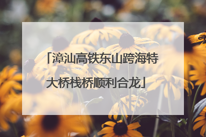 漳汕高铁东山跨海特大桥栈桥顺利合龙