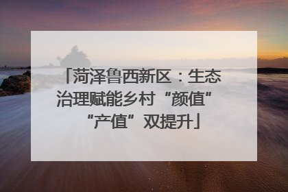 菏泽鲁西新区：生态治理赋能乡村“颜值”“产值”双提升