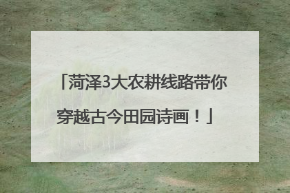 菏泽3大农耕线路带你穿越古今田园诗画！