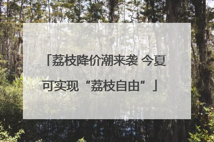 荔枝降价潮来袭 今夏可实现“荔枝自由”