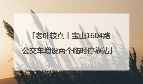 老叶较真丨宝山1604路公交车增设两个临时停靠站