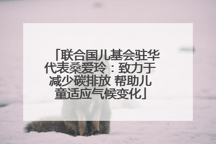 联合国儿基会驻华代表桑爱玲：致力于减少碳排放 帮助儿童适应气候变化