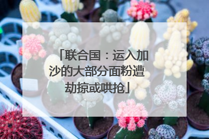 联合国：运入加沙的大部分面粉遭劫掠或哄抢