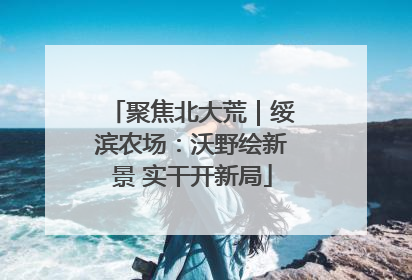 聚焦北大荒｜绥滨农场：沃野绘新景 实干开新局