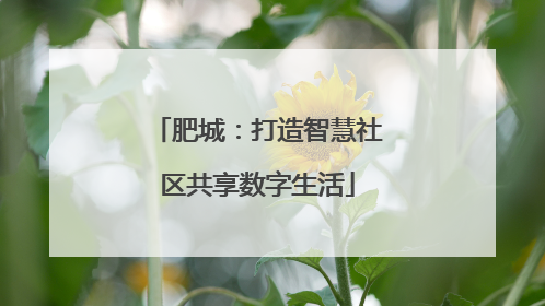 肥城：打造智慧社区共享数字生活
