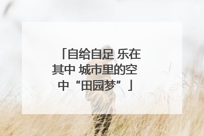 自给自足 乐在其中 城市里的空中“田园梦”