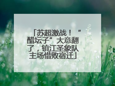 苏超激战！“醋坛子”大意翻了，镇江圣象队主场惜败宿迁
