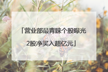 营业部最青睐个股曝光 2股净买入超亿元