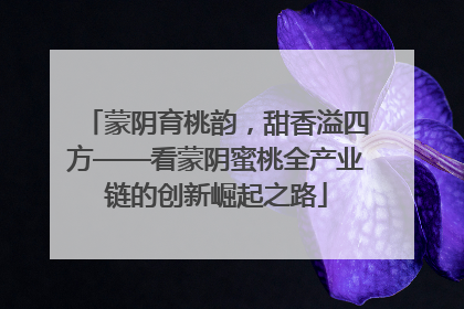 蒙阴育桃韵，甜香溢四方——看蒙阴蜜桃全产业链的创新崛起之路
