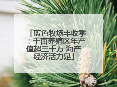 蓝色牧场丰收季：千亩养殖区年产值超三千万 海产经济活力足