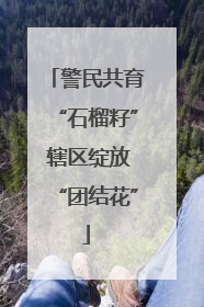 警民共育“石榴籽” 辖区绽放“团结花”