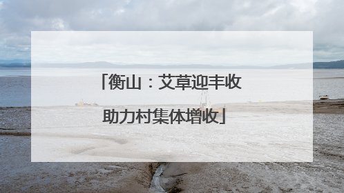 衡山：艾草迎丰收 助力村集体增收