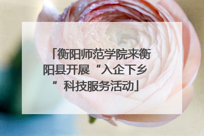 衡阳师范学院来衡阳县开展“入企下乡”科技服务活动