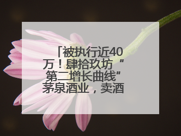 被执行近40万！肆拾玖坊“第二增长曲线”茅泉酒业，卖酒还是卖模式？