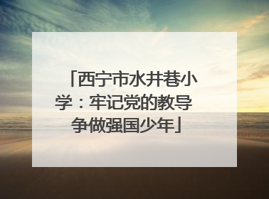 西宁市水井巷小学：牢记党的教导 争做强国少年