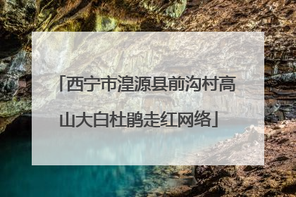 西宁市湟源县前沟村高山大白杜鹃走红网络