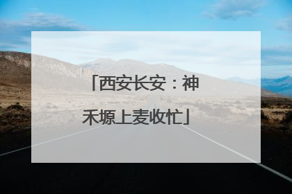 西安长安：神禾塬上麦收忙