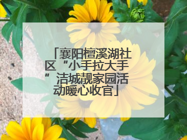 襄阳檀溪湖社区“小手拉大手”洁城靓家园活动暖心收官