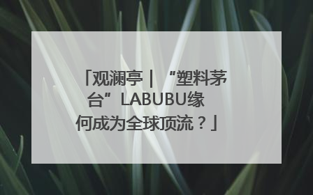 观澜亭｜“塑料茅台”LABUBU缘何成为全球顶流？