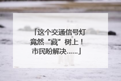这个交通信号灯竟然“藏”树上！市民盼解决……
