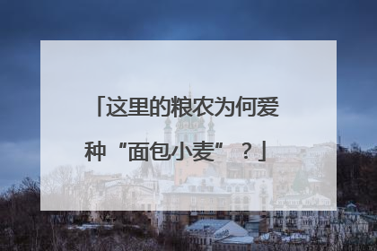 这里的粮农为何爱种“面包小麦”？